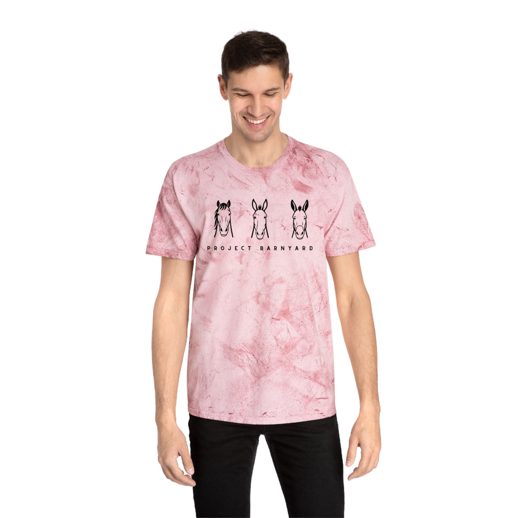 Tie Dye Rescues Tee