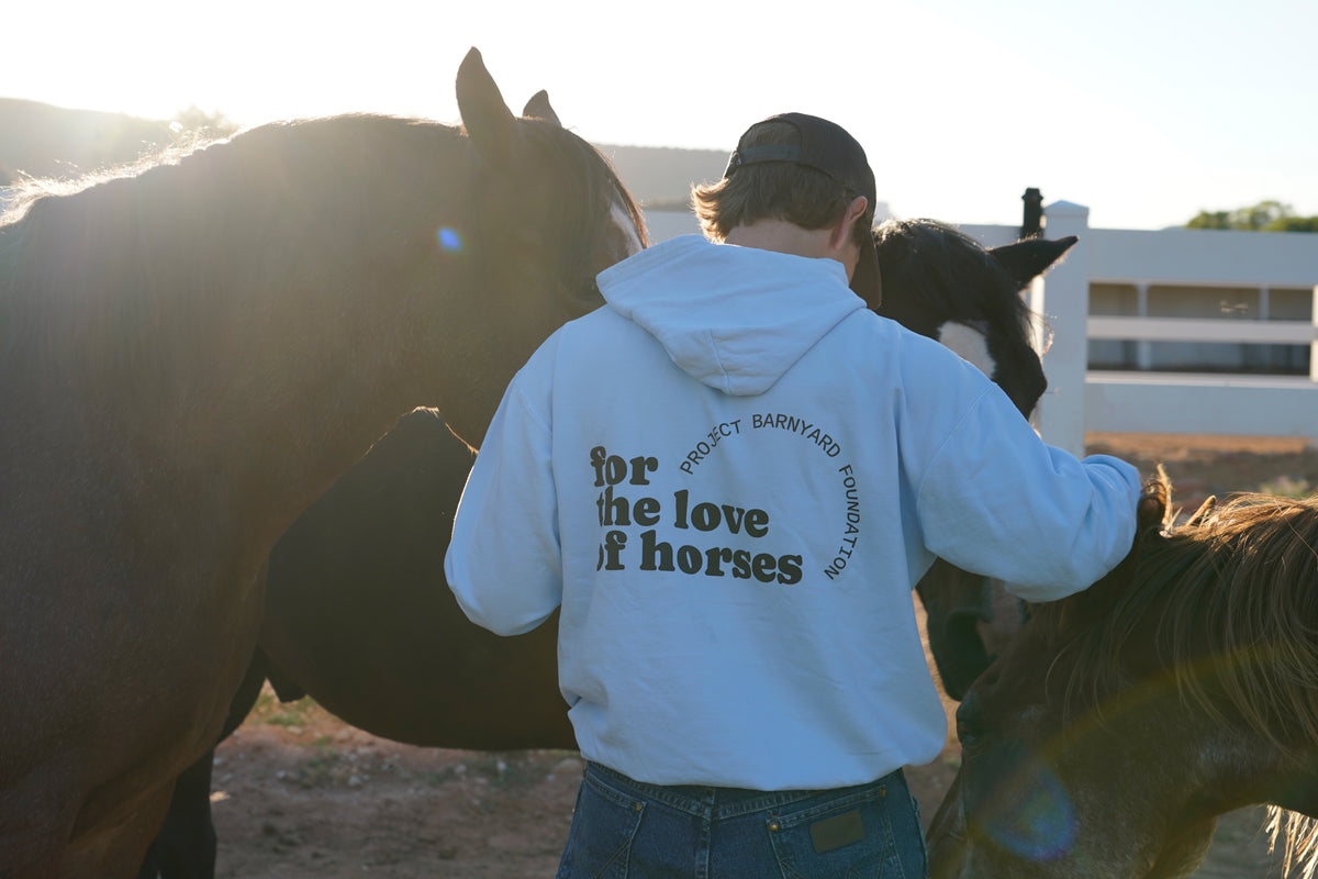 A man wearing a light blue hoodie with 'for the love of horses' printed on the back, standing between horses in an outdoor paddock with bright sunlight.