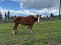 Agnes