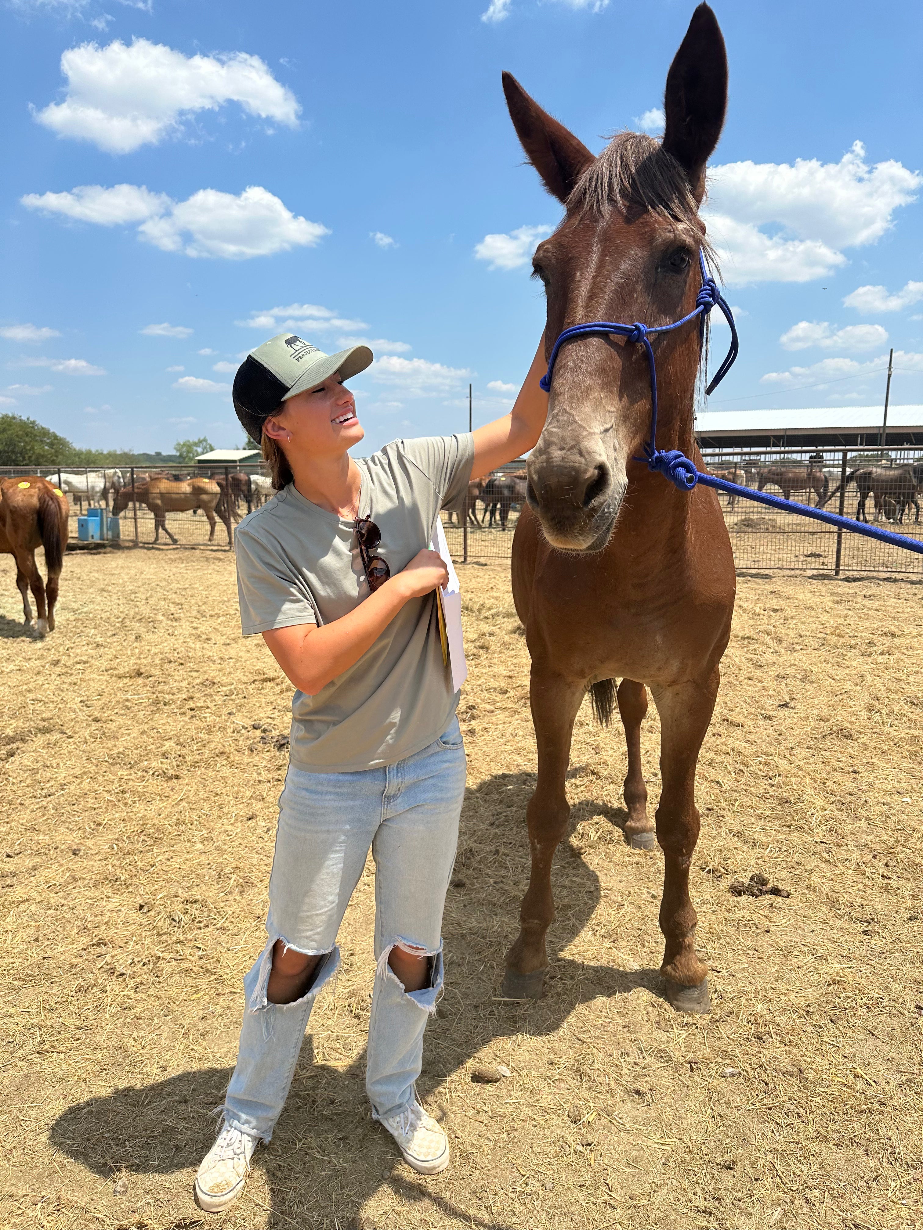 A woman in a gray t-shirt and ripped jeans stands in a horse paddock next to a brown horse wearing a blue halter, under a blue sky with clouds.