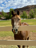 Eleanor