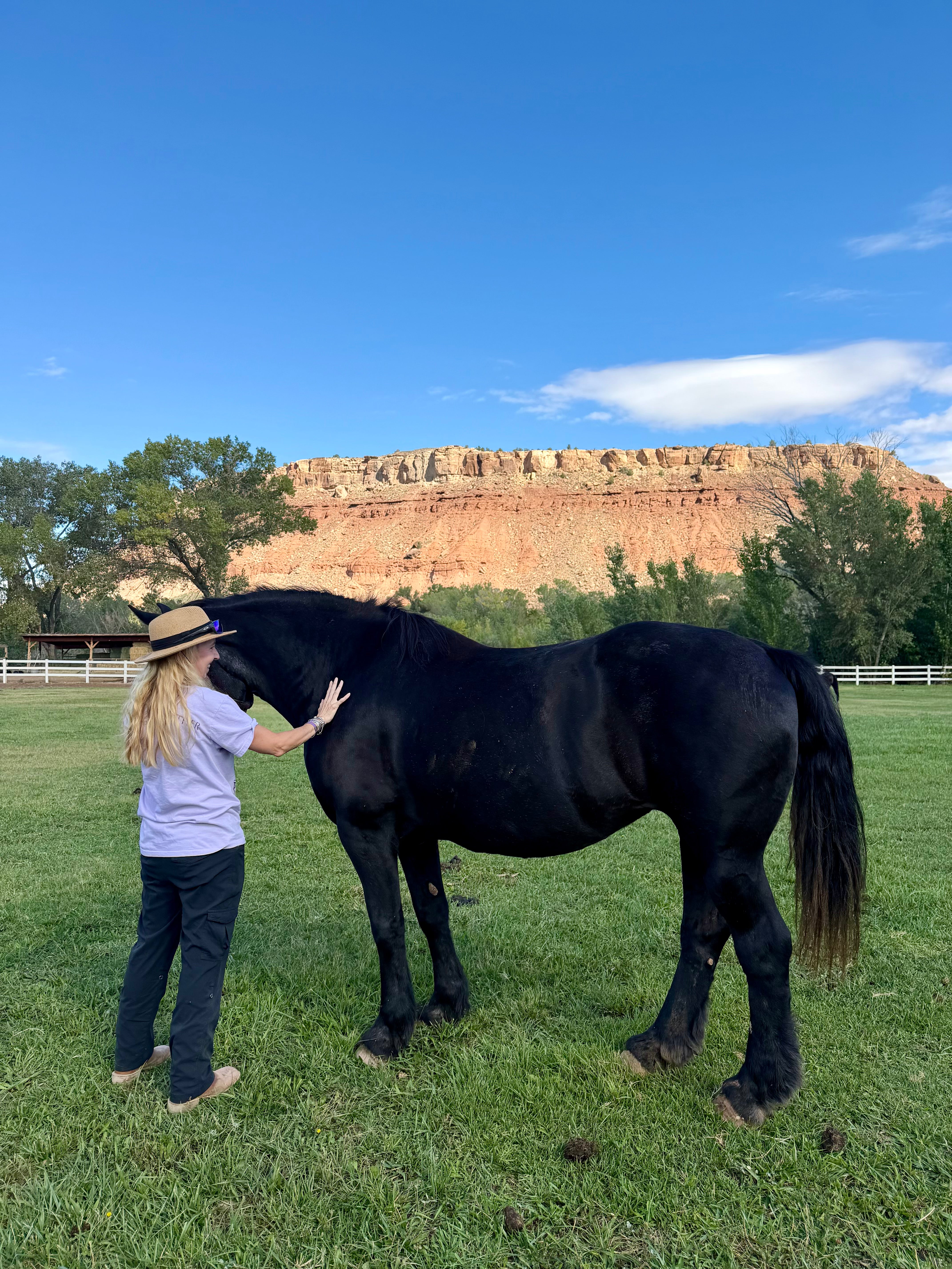 A woman in a white shirt and dark pants stands beside a large black horse in a grassy field, with trees and a red rock cliff under a blue sky in the background.