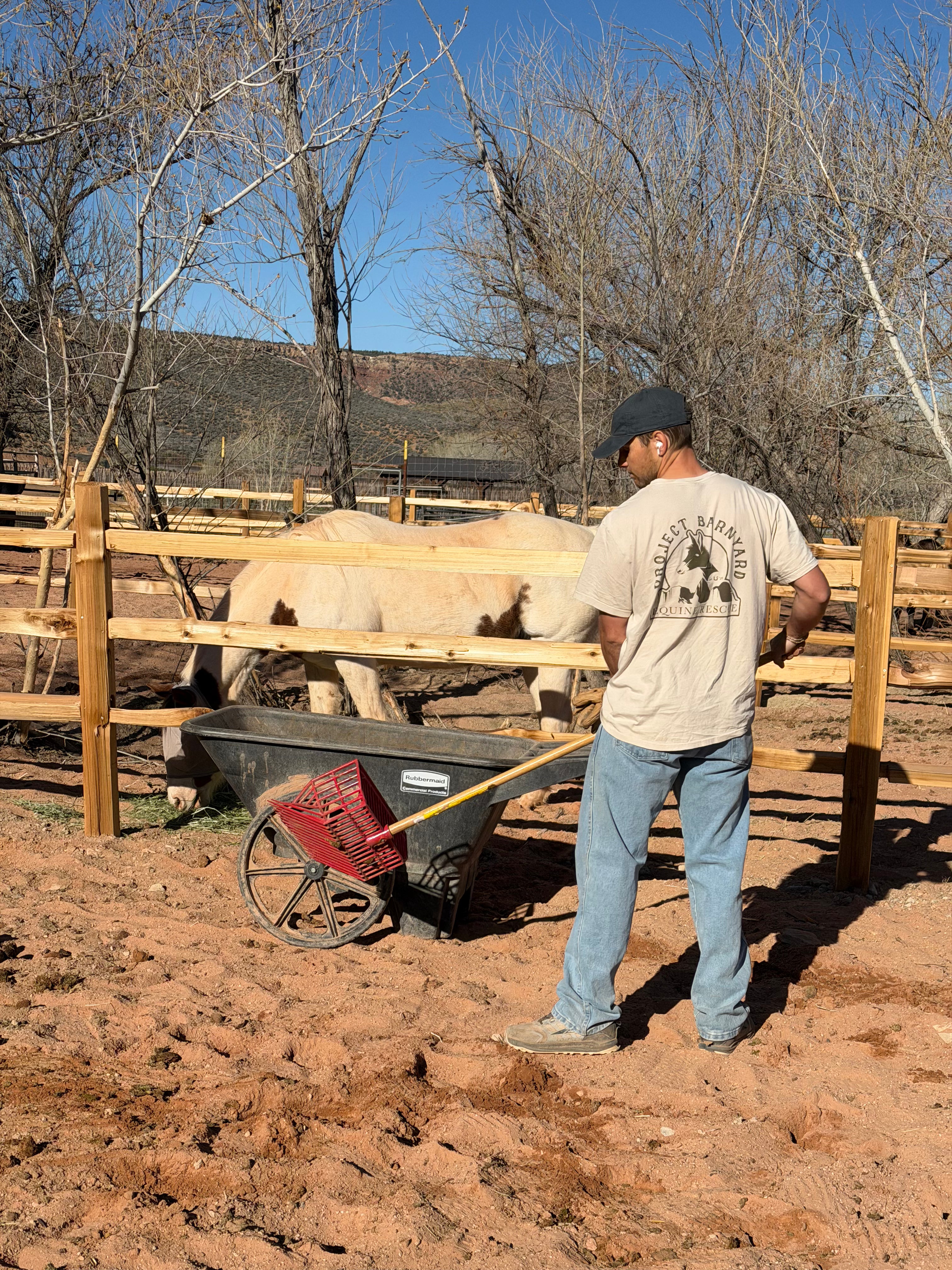A man wearing a beige graphic t-shirt, blue jeans, and a black cap stands in a muddy outdoor pen next to a wooden fence, holding a red wheelbarrow with a long handle. A light-colored cow is visible behind the fence in a sunny, rural setting with bare trees and hills in the background.