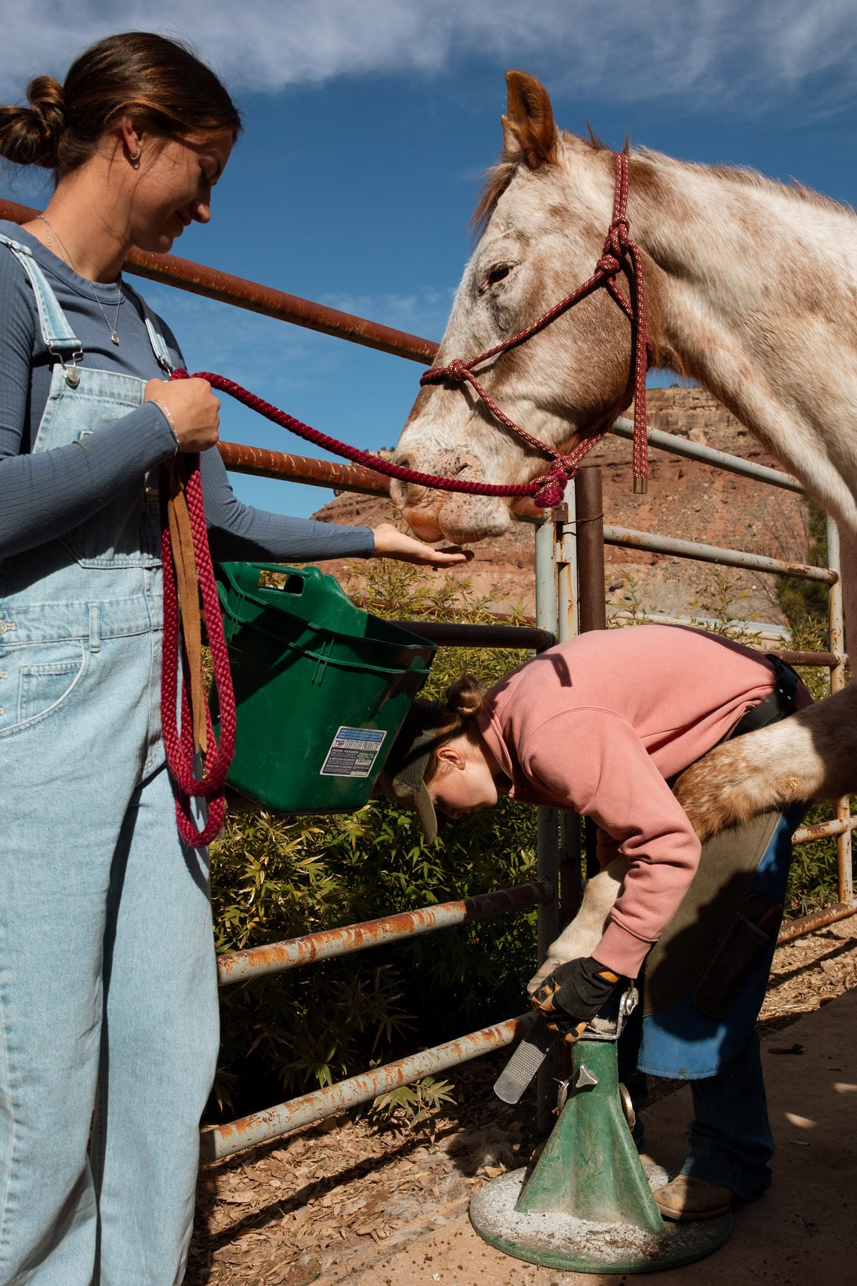 A woman in light blue denim overalls holds a red rope and a green bucket while another person in a pink sweatshirt attends to a white horse standing behind a metal fence outdoors under a blue sky.