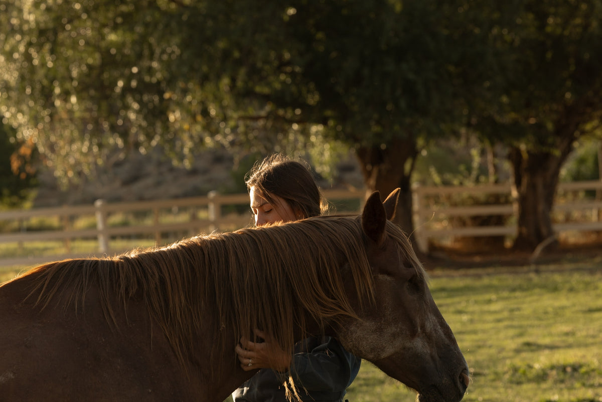 A woman in a barn or pasture setting embraces a brown horse, with trees and a fence in the background during warm golden-hour light.