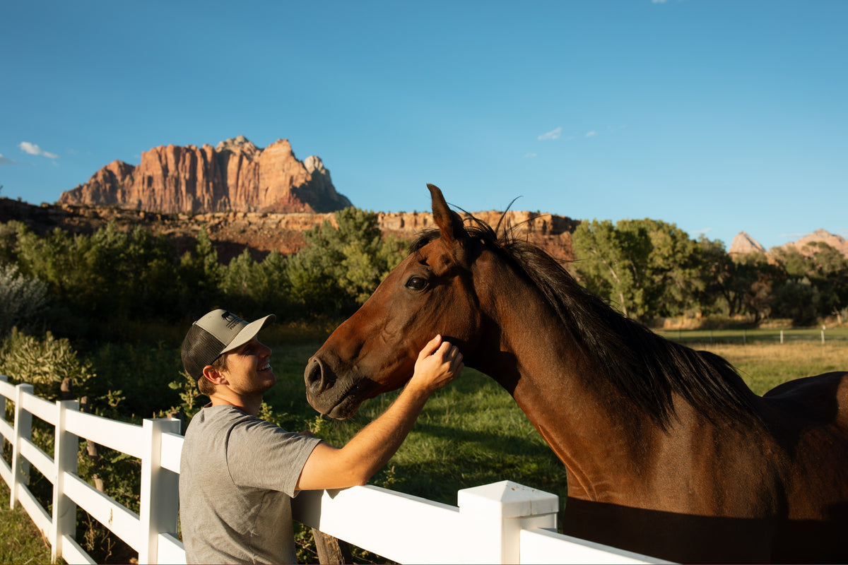 A man in a gray t-shirt and baseball cap gently pets a brown horse standing behind a white fence, with a scenic red rock canyon and green trees in the background under a clear blue sky.